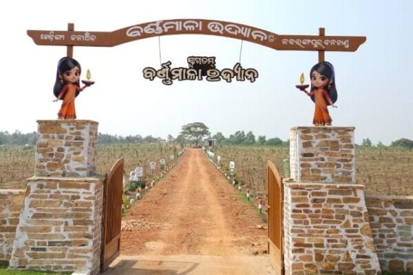ଓଡ଼ିଆ ବର୍ଣ୍ଣମାଳାକୁ ନେଇ ତିଆରି ହେଉଛି ଉଦ୍ୟାନ