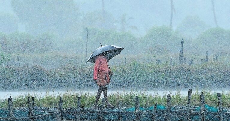 Mansoon-7